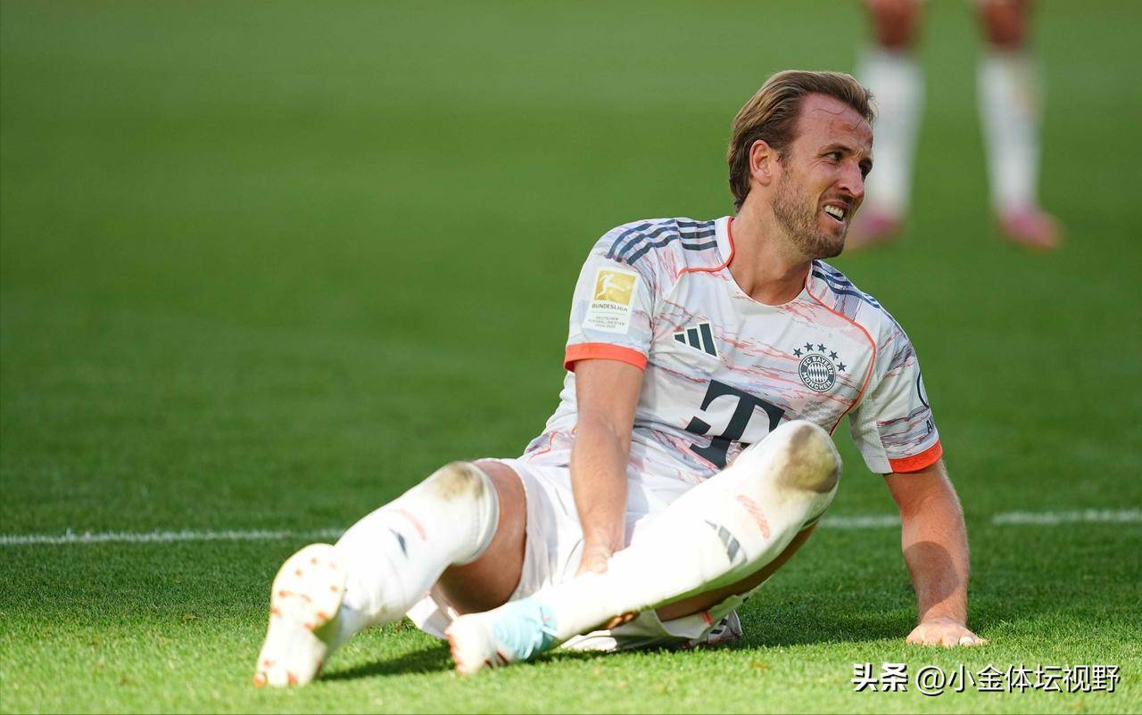 这意味着只, 称白菜价, 回归的最大