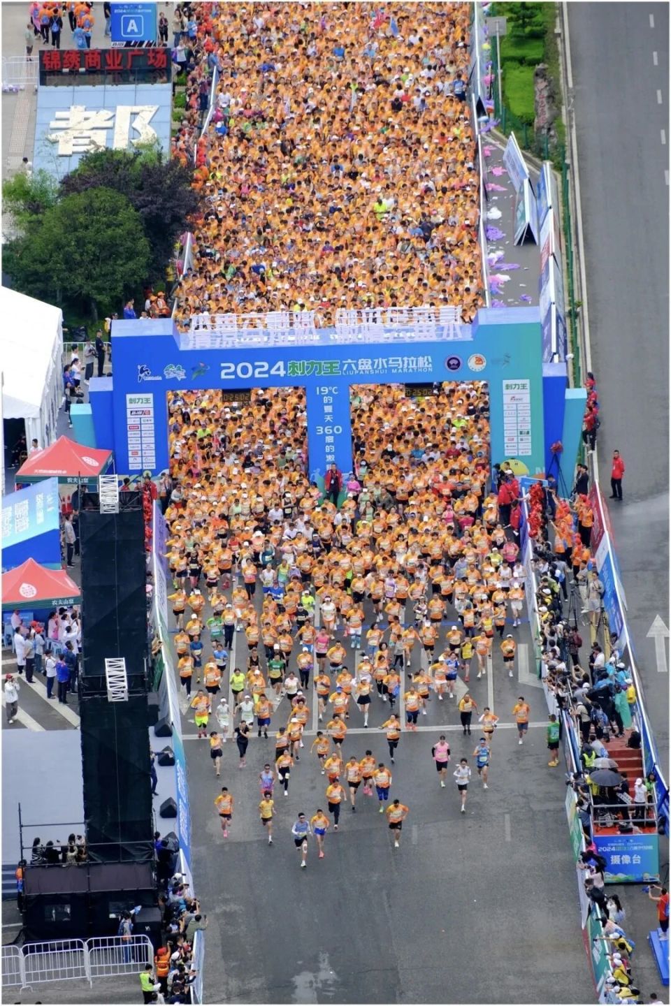 岁的张语桐, 随着